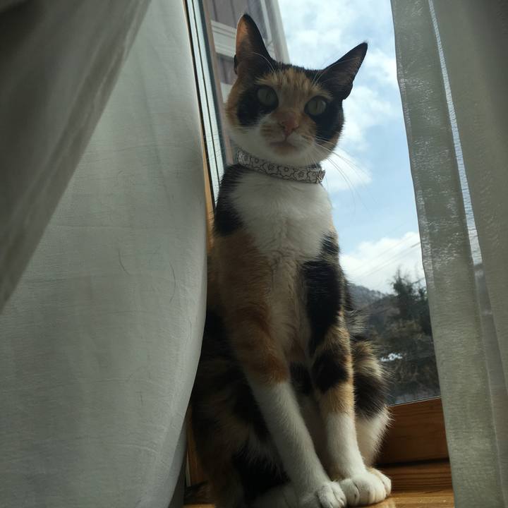 E69ce7f1 b5eb 4eda 898a 96856d46416f