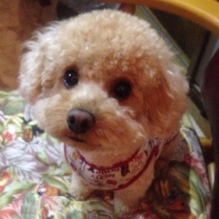 E69e6ae8 5c39 42c8 8b74 b15206d35be1