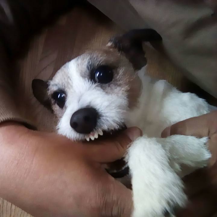 E69edf97 bd2a 4fbe 88e4 a31465dd31a8