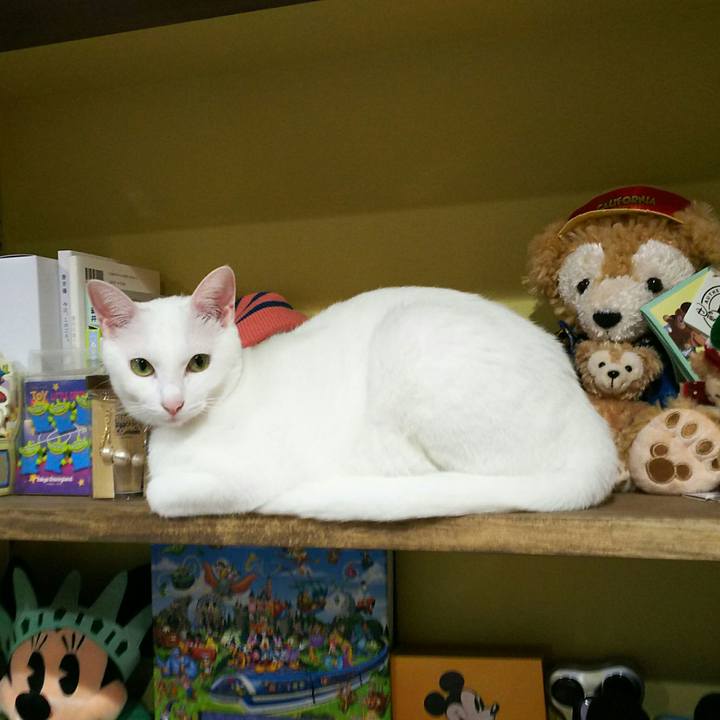 E69fcf18 ef16 4e28 9db8 b722be70400d