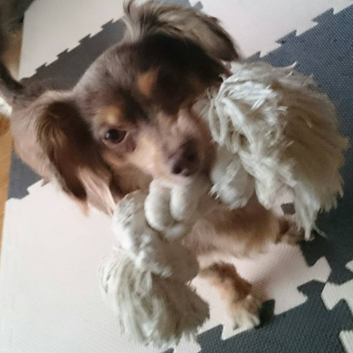 E6a1106e 3474 4a24 a3d4 c17f73812c62