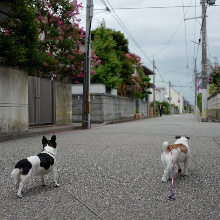 E6a260c8 4d2c 4ce5 b231 f91ed5bca6f0