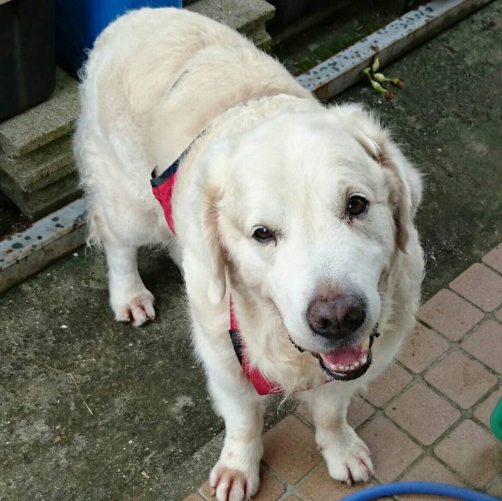 E6a29f7c 9ab9 4d50 811a f1b3fc176920