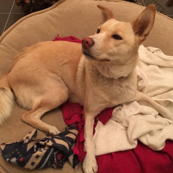 E6a396b7 f0b8 485d b829 6f443d03b2fa