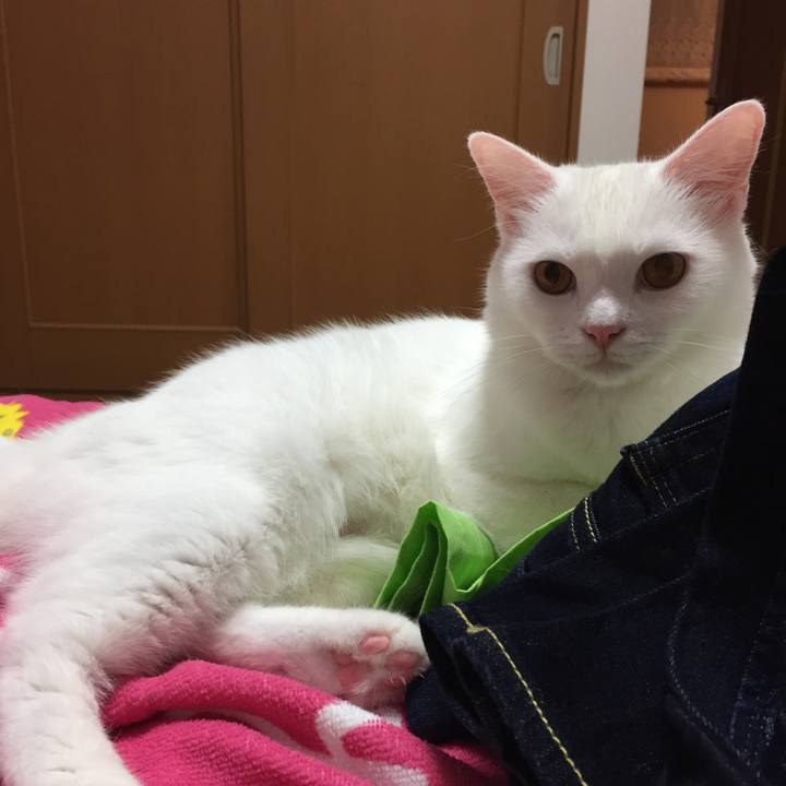 E6a3dc16 621d 435d 8ac3 4d9d8530c32e