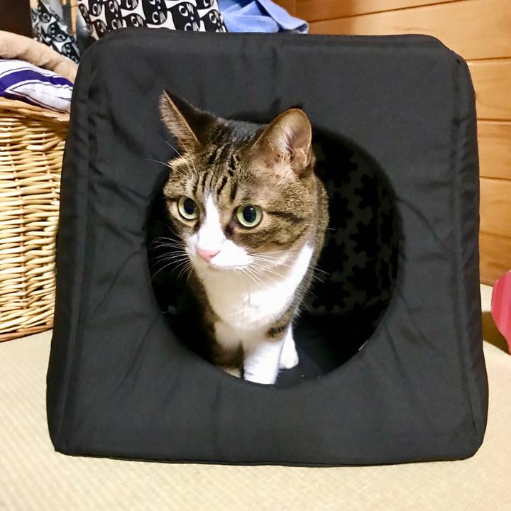 E6a48ce0 f620 4c1c b4eb cde99ee7184a