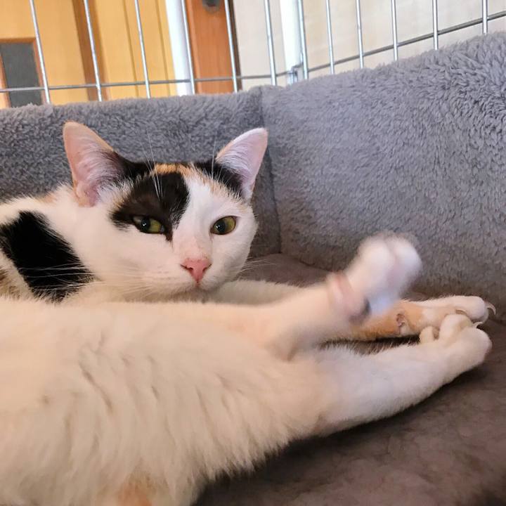 E6a543ec d372 4ce0 83e9 72cd39314b3a