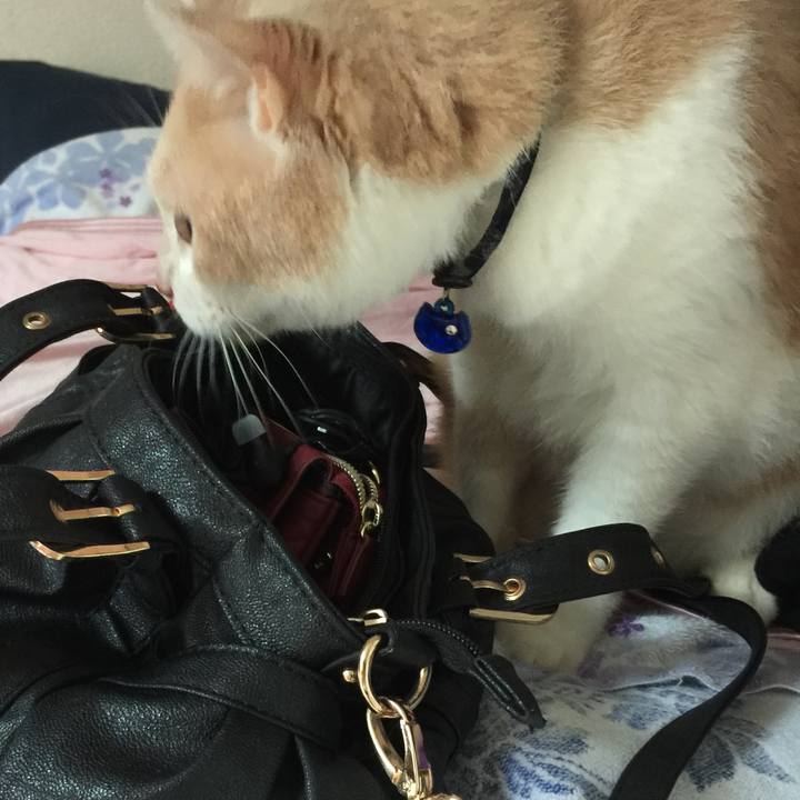 E6a556ed 170b 4ffa b5cf 0cc6af8e66dc