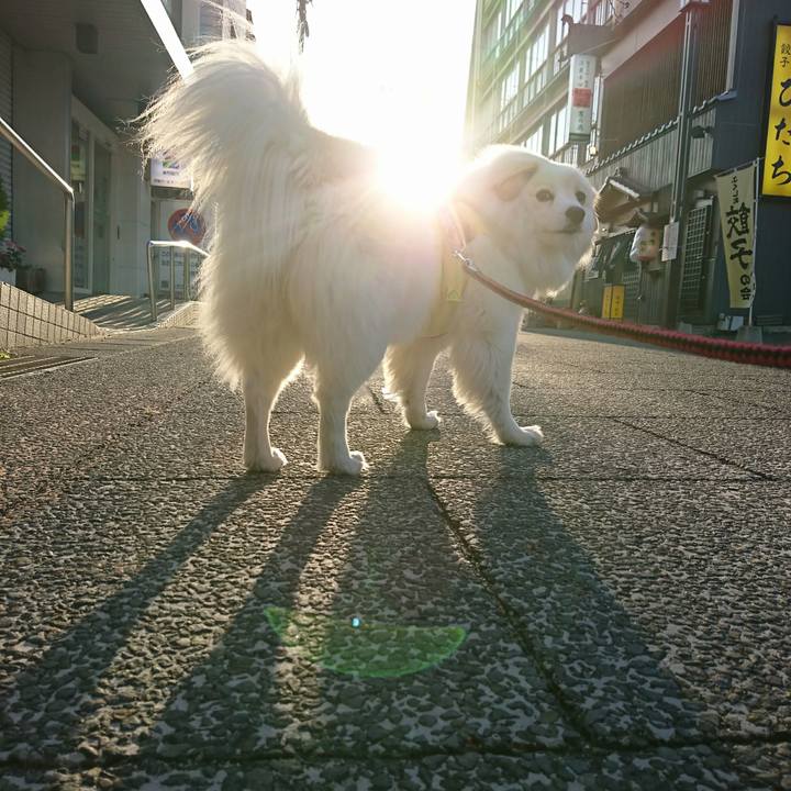 E6a5f295 ac85 409e 8681 1cc83e47089a