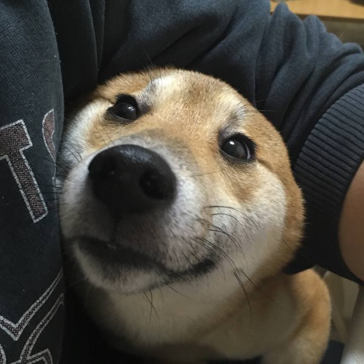 E6a6b841 eeff 4dc9 96b4 762a8bf3c9ef