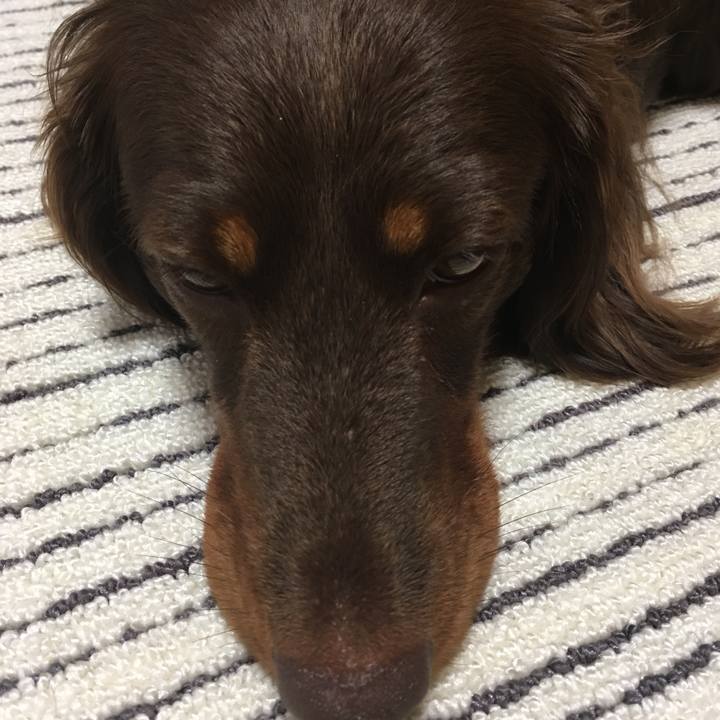 E6a6c8d3 bea9 4691 a028 ee641284575f