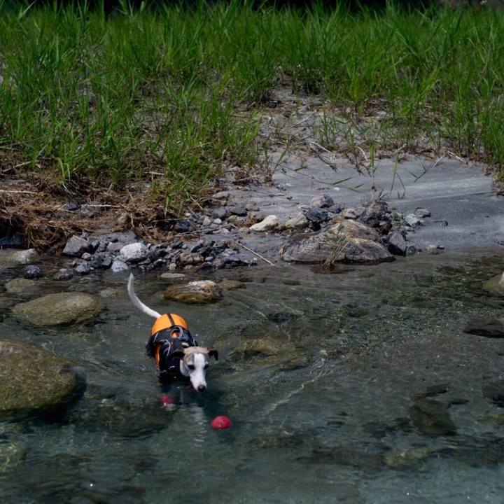 E6a78f14 130f 4e38 8f30 76cc00330444