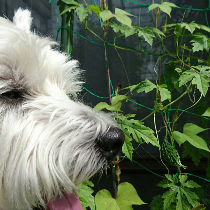 E6a82f79 7a82 40bf ab12 edee15047940