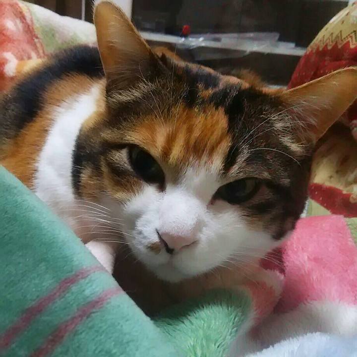 E6a8a009 7e0d 40fd b061 94096be50ee9