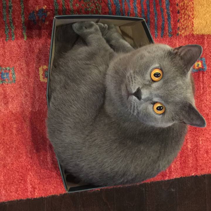 E6a9386e 5af6 42de af59 3786f137acf2