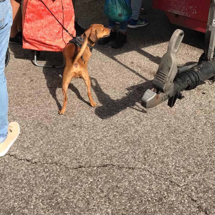 E6a967c5 e0d2 4355 987d a5d2fddabf6f