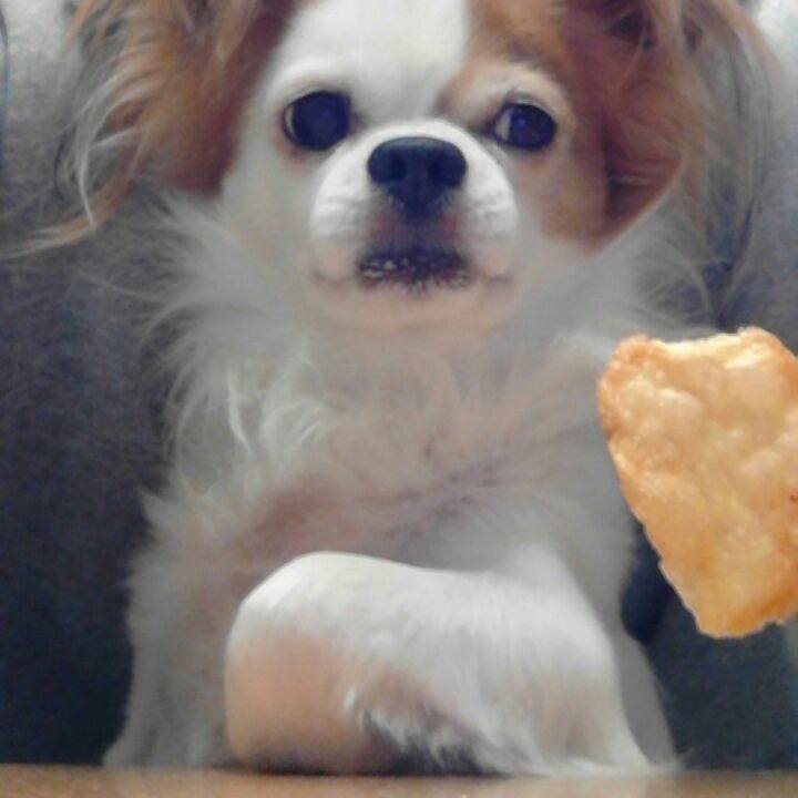 E6a9ca59 76a1 469e ab78 e5eb956739f7