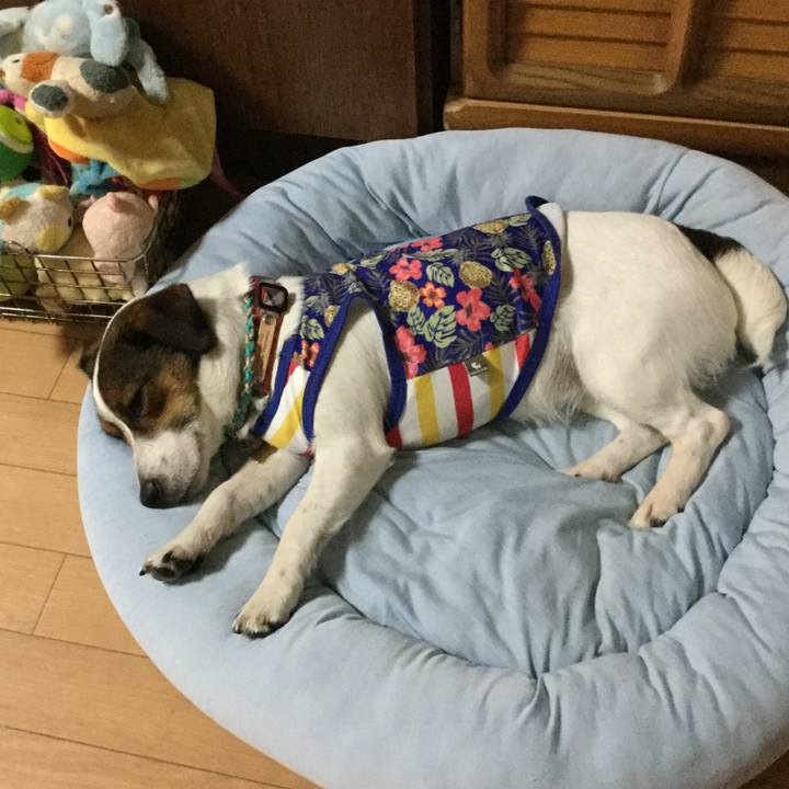 E6a9f82a 0852 4aac 97e0 0afe47f7f2b4