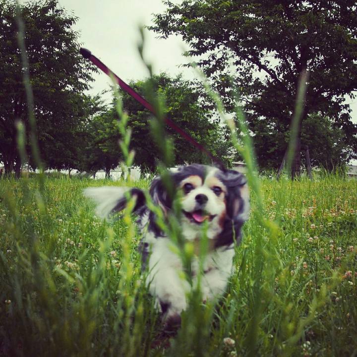 E6aa45d6 4e83 4507 b317 af154089c7bb