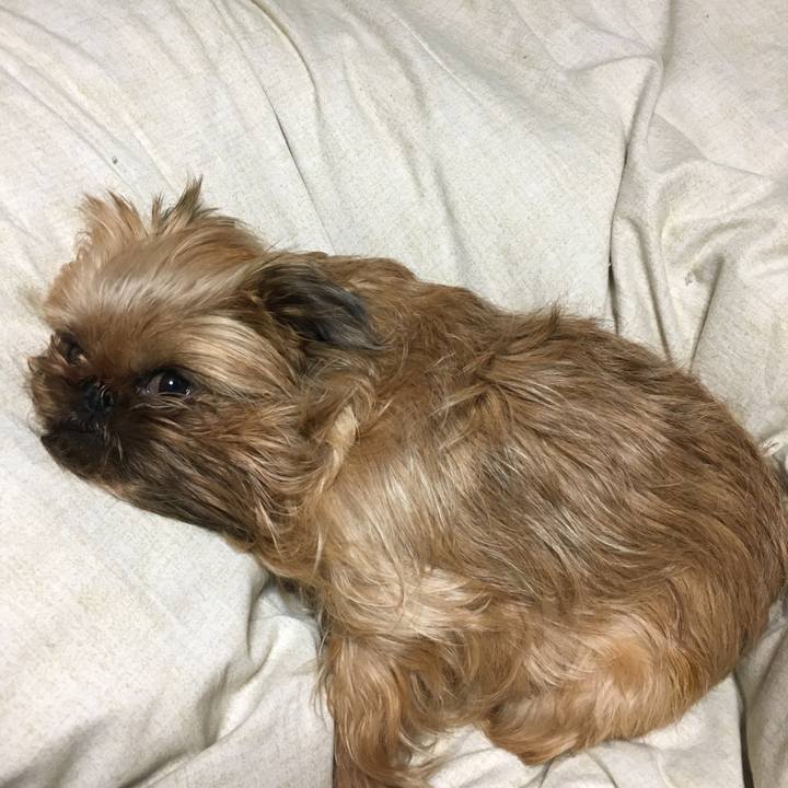 E6aa9759 c1f3 4903 80c9 f5c25fa4429d