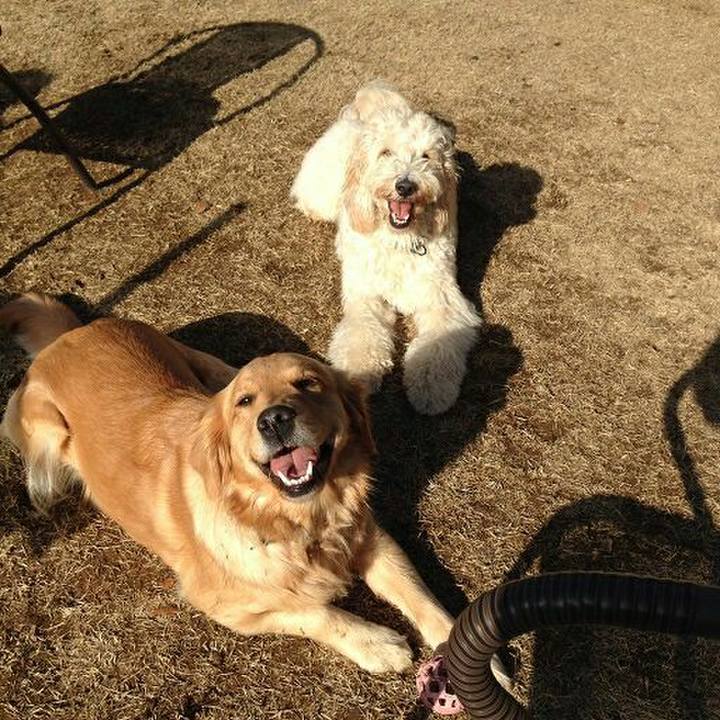 E6aab715 fad0 435a a68b c591f4490165