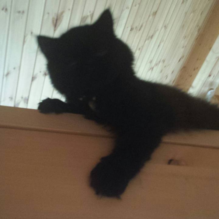 E6ab5c90 9d5a 4612 a3b3 517e4d2ca2fd