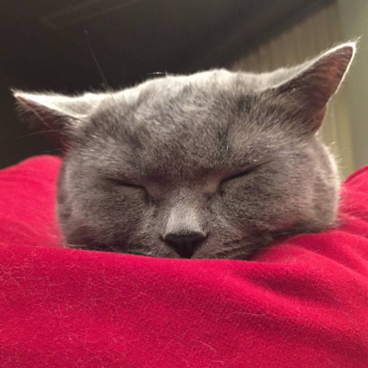 E6ab7510 8963 47a2 a0b4 aeb18fb8c2ac