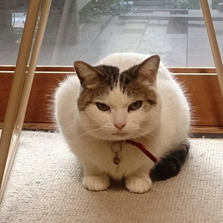 E6ab8608 5e7b 42b1 9f46 1d3041a74624