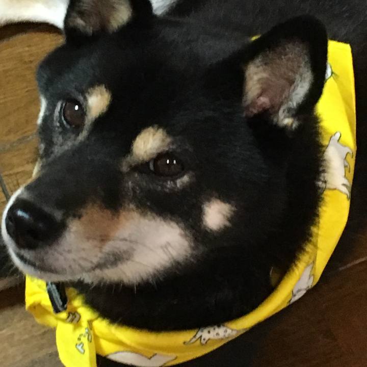 E6ab8a18 c3eb 4f8b 8daa dccf2e719182