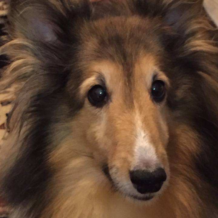 E6abe344 a3f9 4648 9899 96b82521b8e0