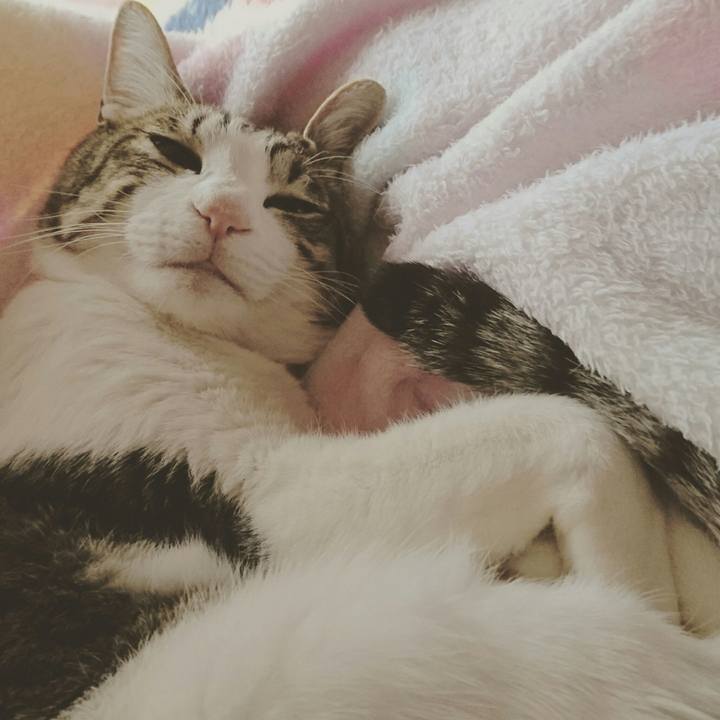 E6ac2c92 58c1 475d b43a 8a36fb08cb01