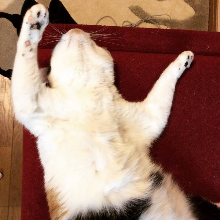 E6ac5223 a81d 4bb2 94ed 7693ef81961e