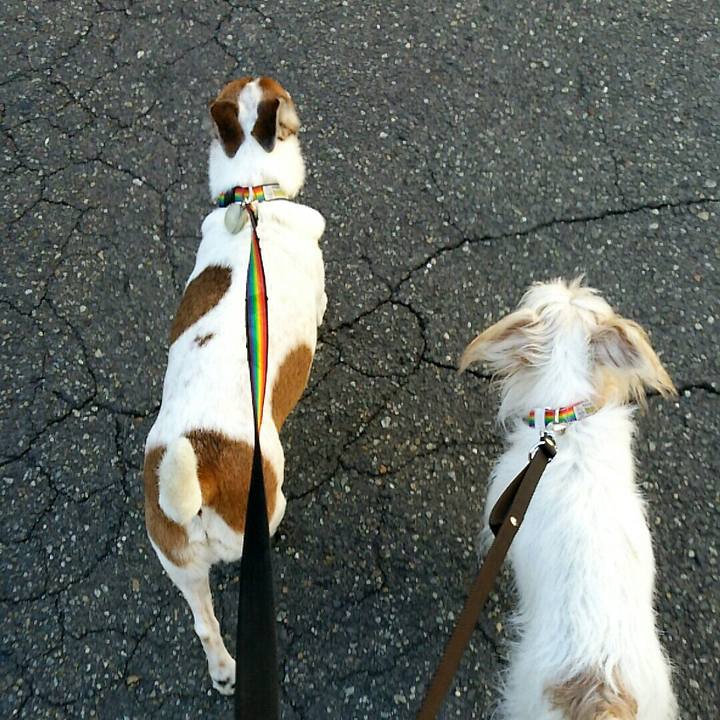 E6ae46c1 8e15 4c00 856e e31f1018c2eb