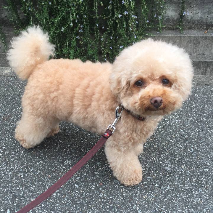 E6af17b2 eba7 4454 ab87 4a1c5210125e