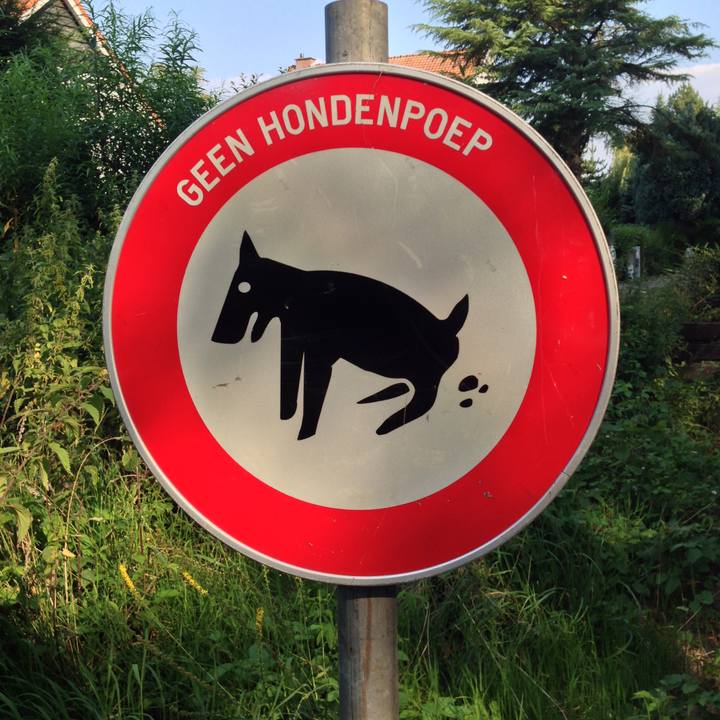 E6b0fc41 de93 43b0 9380 5ca1dcc06c68