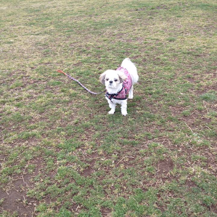 E6b12905 5cc6 4a8f b28e 24de482a5c9a