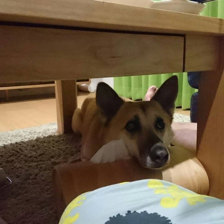 E6b13631 80b3 4ed9 a33e d3c72bedf88c