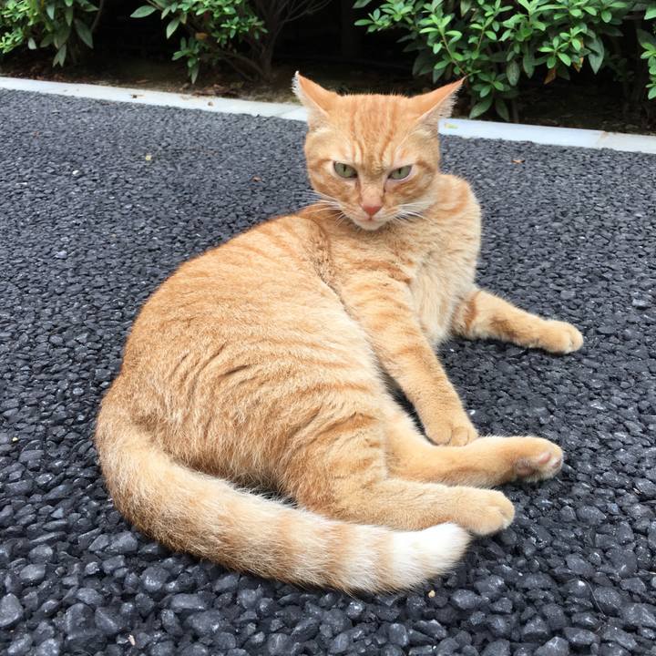 E6b20fcf 7fab 4ca5 86cc 6ddceb06a3eb