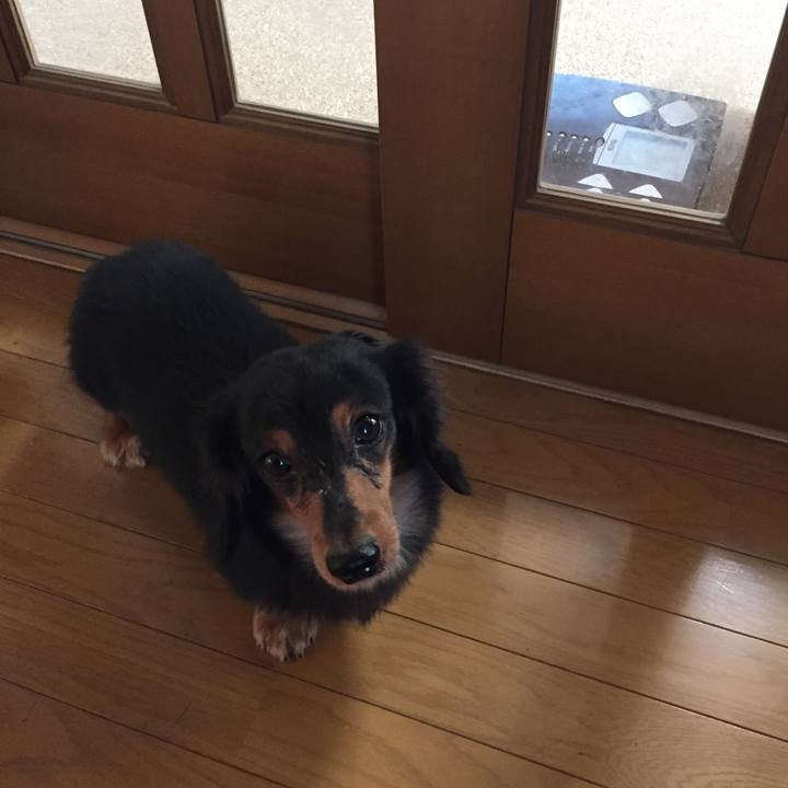 E6b2721a e577 44b0 94b1 611a5a7b336b