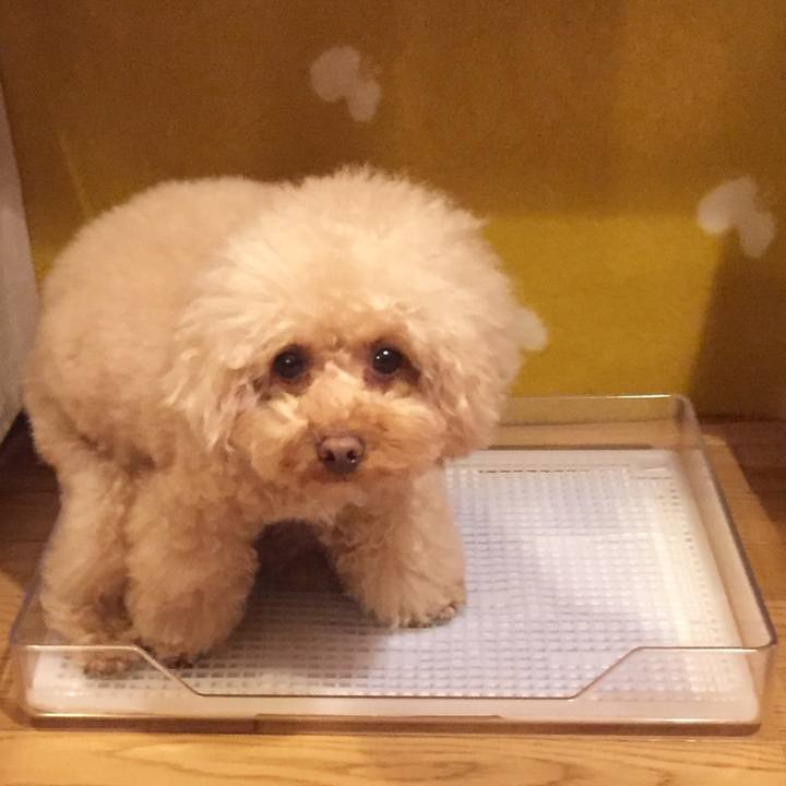 E6b33e72 929c 4209 bcf1 b4b21febd43c