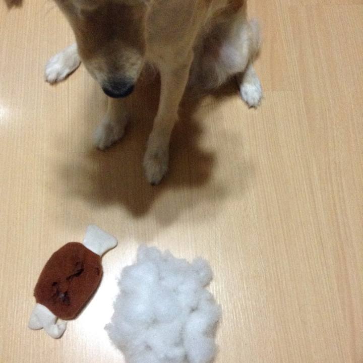 E6b38b2a 1e7c 48e9 95be 4281de2d10e1