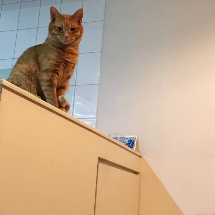 E6b3ede0 7bbf 4b96 9c74 4ed2c7f0ebf4