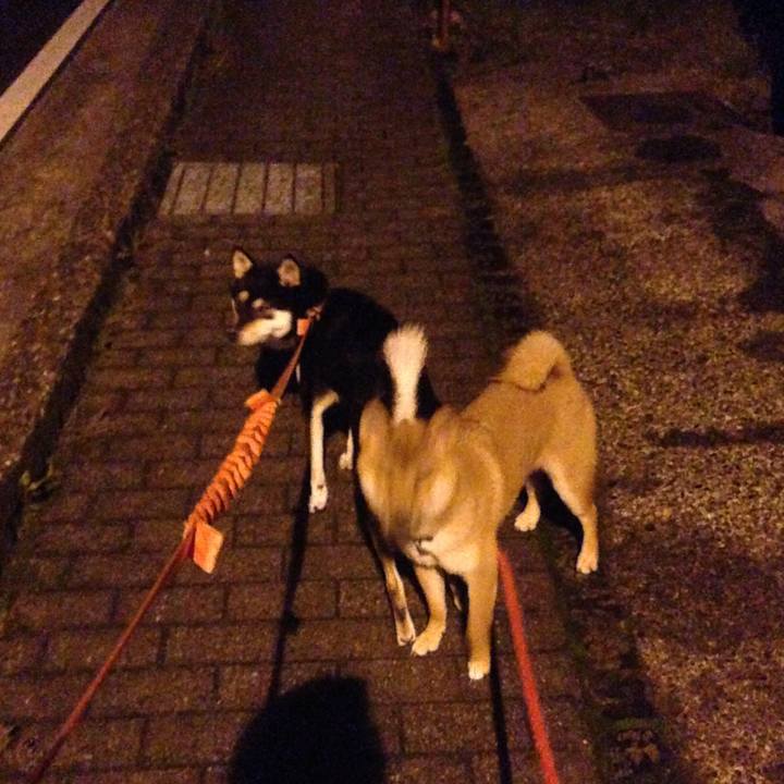 E6b41323 7895 4df9 86c3 67040cb4e72a