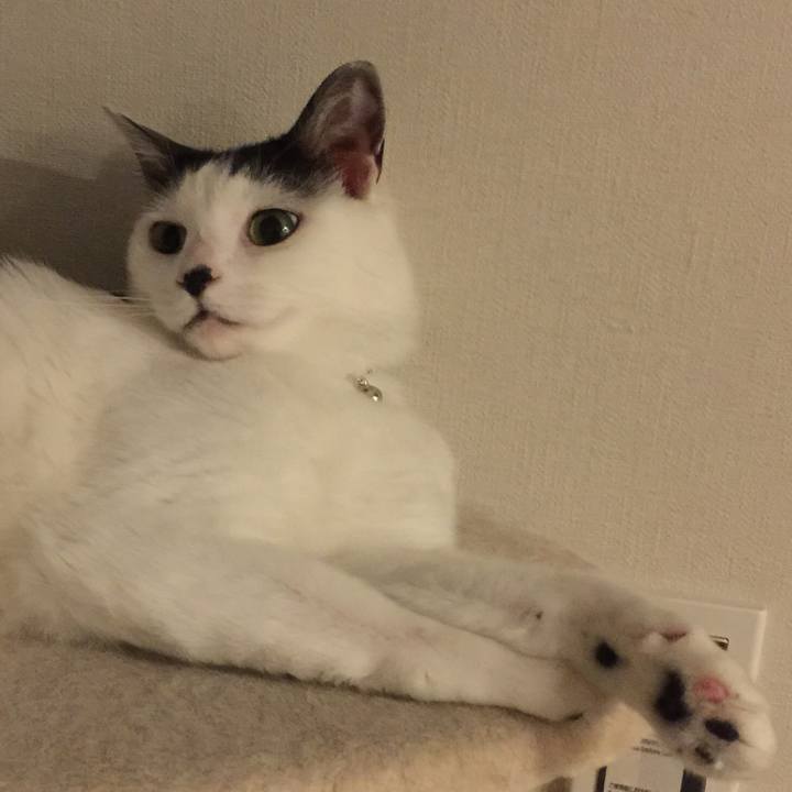 E6b4510b dde8 4255 a121 2a0f0e2ec000