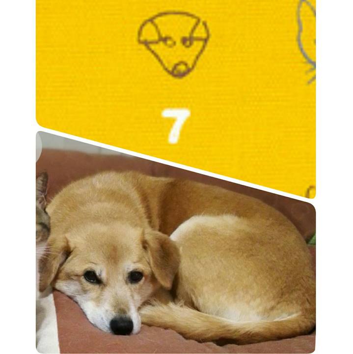 E6b47c6a db7e 42cc beab 87a129f8965a