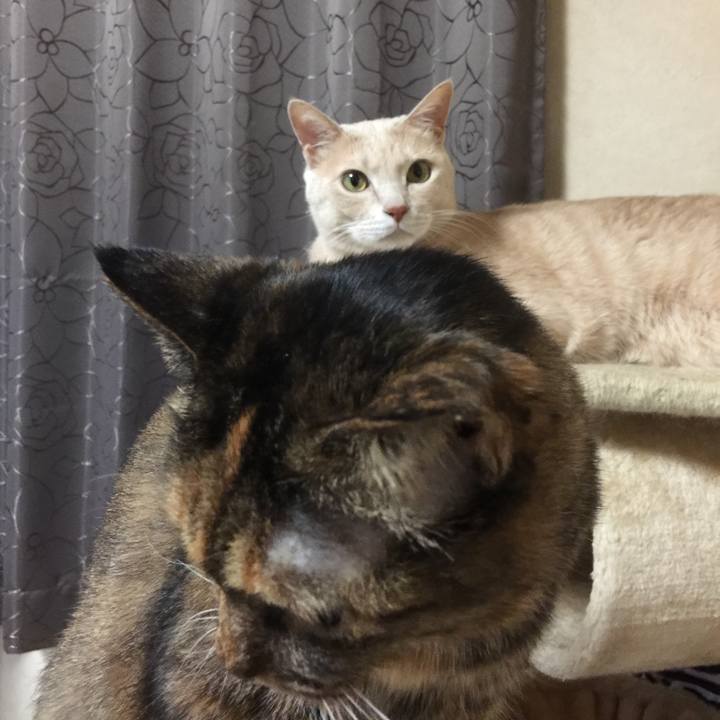 E6b47e9b 3d68 40a3 aa74 29b6f91c5ea1