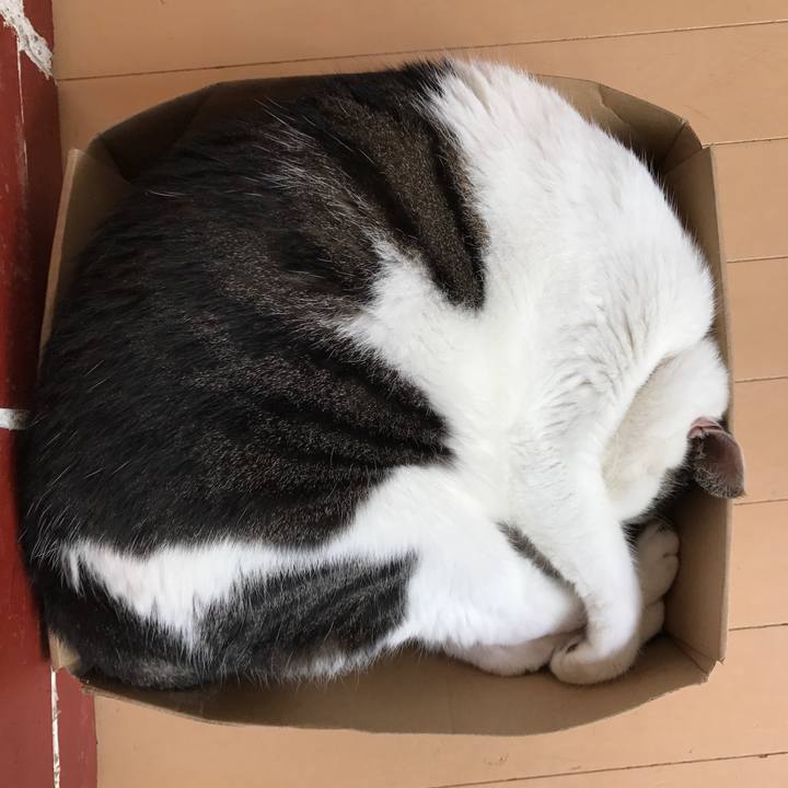 E6b4e9da 598d 4087 afe6 b3b3fd563c38