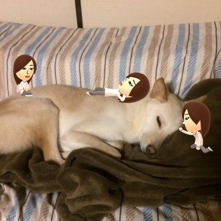 E6b4f74c 3799 4038 90a7 04bfadbdc5c2