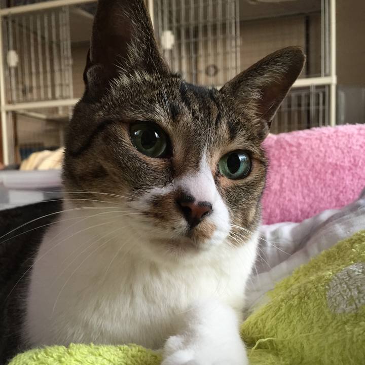 E6b55264 c483 4d9a a523 f7702f3f20fc