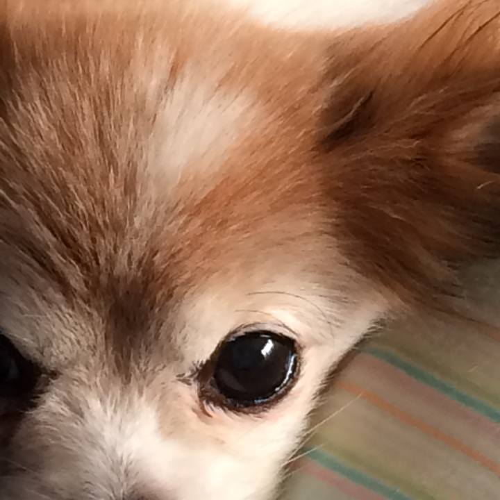 E6b5747d be92 4f92 844c 703ff428e638